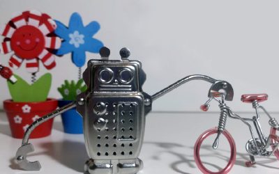 Seminar: The Role of Social and Assistant Robots in Our Lives