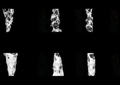 Column_Structural_Analysis_Variance