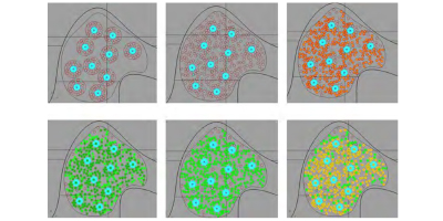 Öksüz, E.B., Çağdaş, G. (2012) Simulating the Organization of Multi-cell Organisms within the Framework of Spatial Relations in Architecture. Ga2012: Generative Art 15th International Conference, Milano/İtalya. 145-156.
